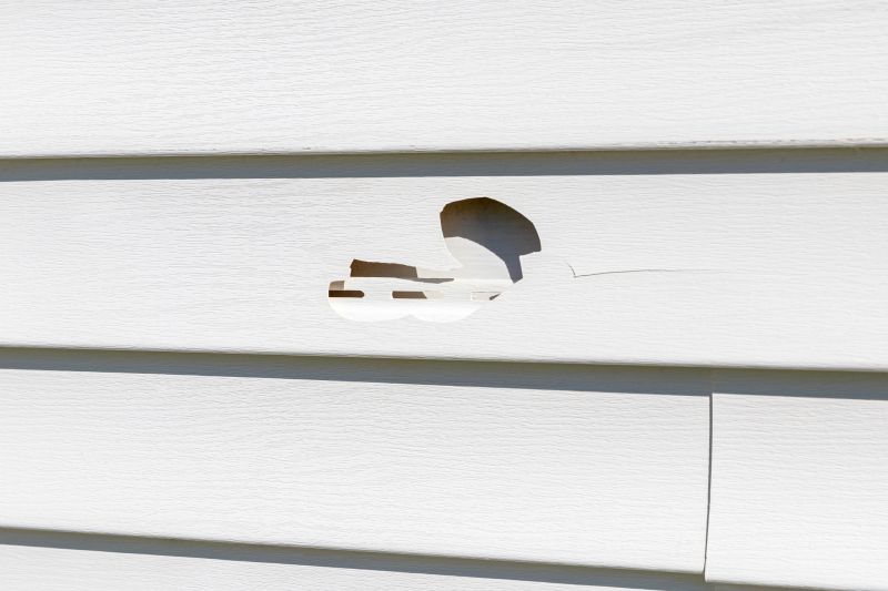 Matching Vinyl Siding Repair